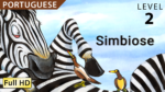 Simbiose-Thumbnail